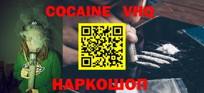 стаф Гатчина