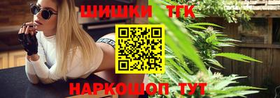 стаф Гатчина