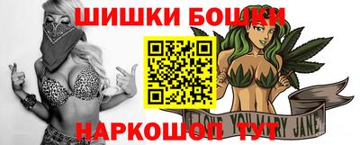 стаф Гатчина