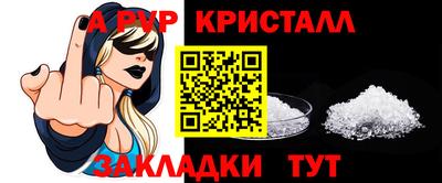 стаф Гатчина