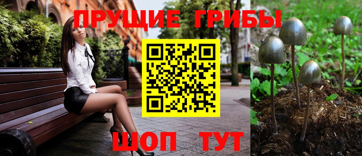 Чусовой  Псилоцибиновые грибы Psilocybe  Вход с VPN 