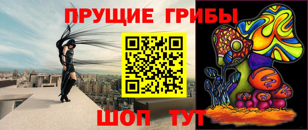 Псилоцибиновые грибы GOLDEN TEACHER Чусовой